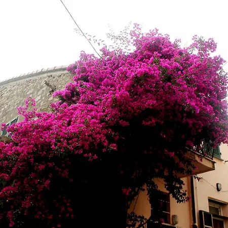 Nonna Buganvillee Apartamento